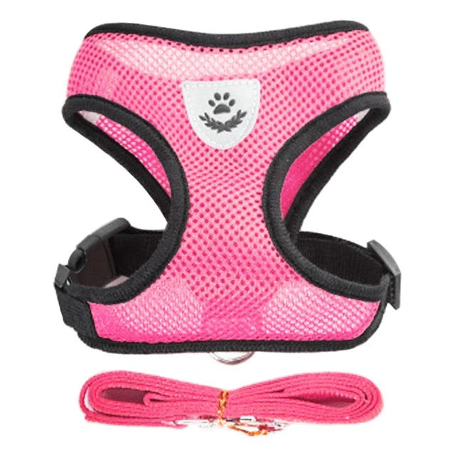 Cat Harness Vest Walking Lead Leash