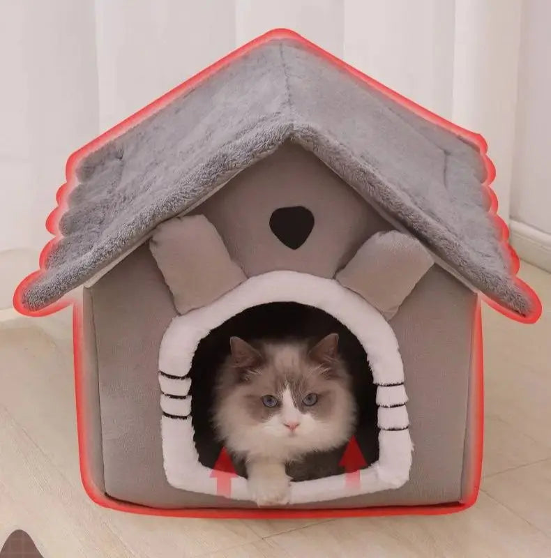 Cats and Dogs House