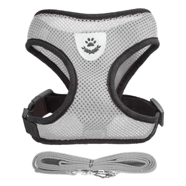 Cat Harness Vest Walking Lead Leash